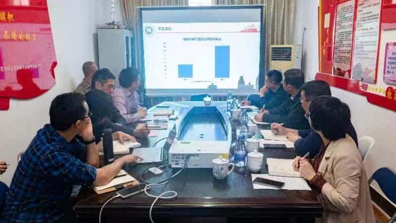 揭秘mg动画配音：价格构成与合理预算