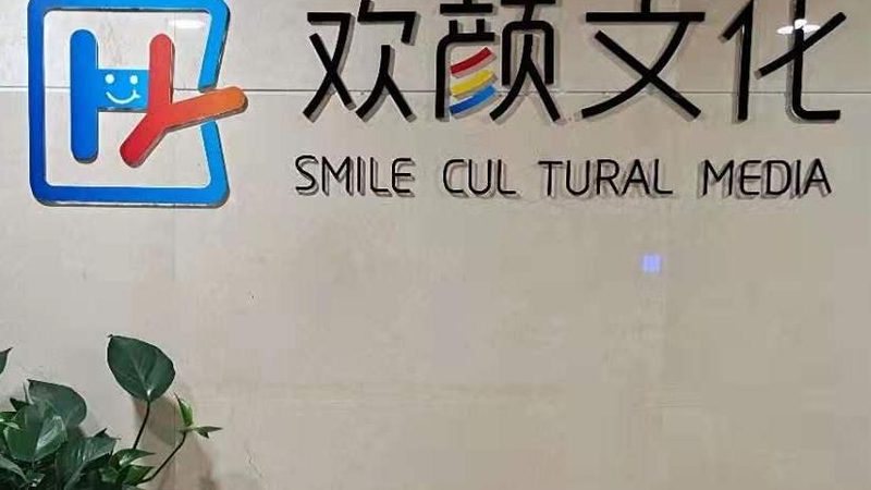 宣传片拍摄风格与脚本设计的艺术与科学